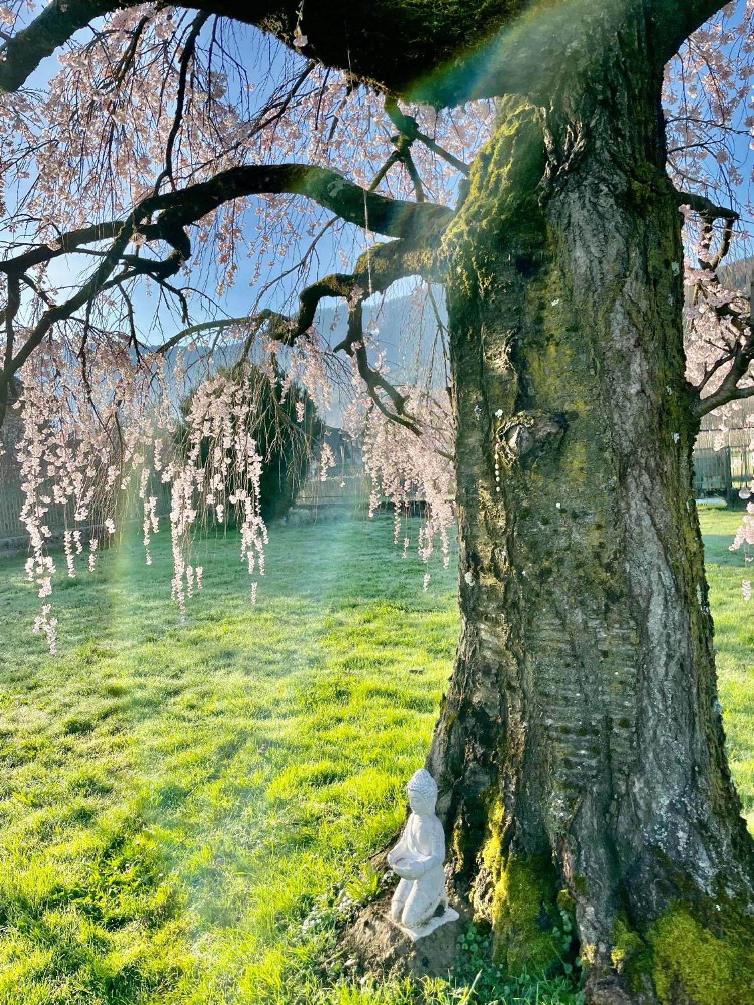 Paradiso sul lago Calceranica al Lago Exterior foto